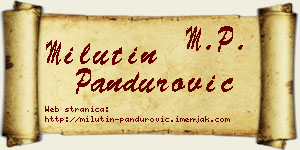 Milutin Pandurović vizit kartica